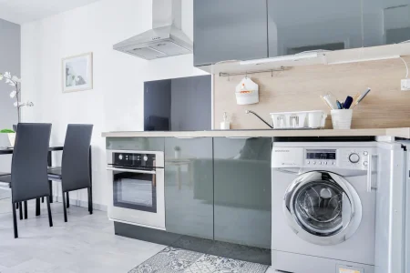 Common problems of Snowa laundry