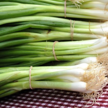 پیازچه-scallions