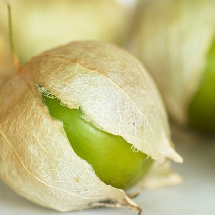 توماتیلو-tomatillo