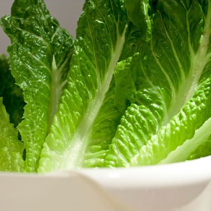 کاهوی رومانی-romaine-lettuce