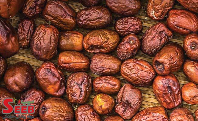 خواص-عناب-تازه-چیست