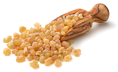 خواص گیاه دارویی کندر