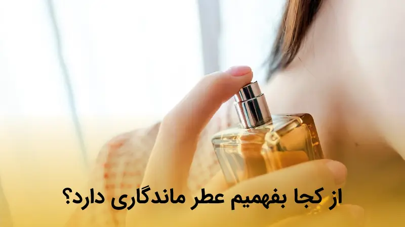 از کجا بفهمیم کدام عطر ماندگاری بیشتری دارد؟