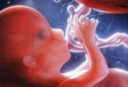 Intimacy in the seventh month of pregnancy