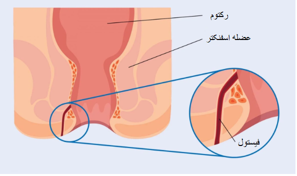 مجله سلامت