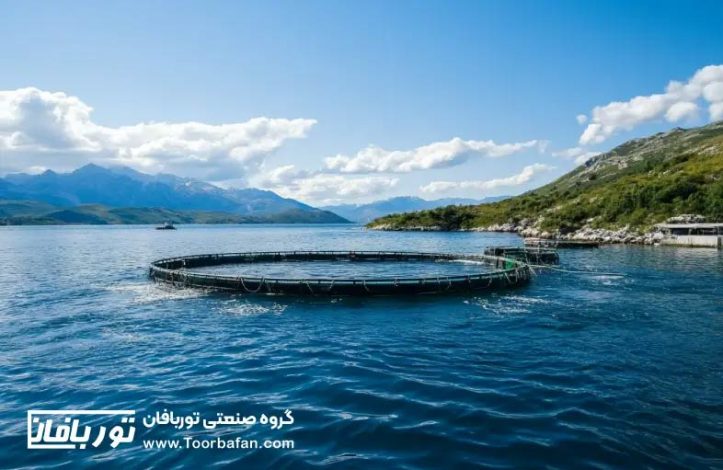 مزایای استفاده از تورهای با کیفیت در قفس های پرورش ماهی