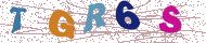 تصویر امنیتی