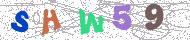 تصویر امنیتی