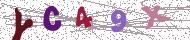تصویر امنیتی