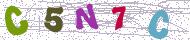 تصویر امنیتی