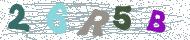 تصویر امنیتی