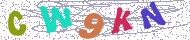 تصویر امنیتی