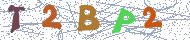 تصویر امنیتی