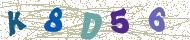 تصویر امنیتی